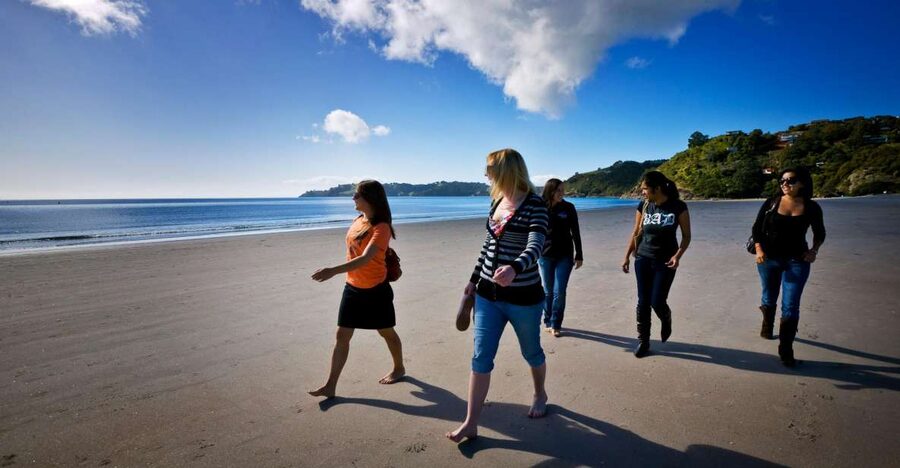 Waiheke Island: Ferry & Hop-On Hop-Off Explorer Bus Tickets - What a full day feels like (and why a half-day can still be enough)