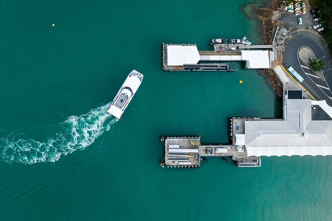 Waiheke Reserve Ferry Service to Waiheke Island - Return strategy from Matiatia: same-day timing that prevents stress